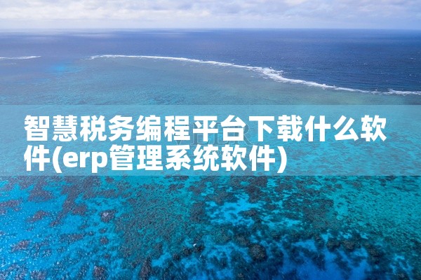 智慧税务编程平台下载什么软件