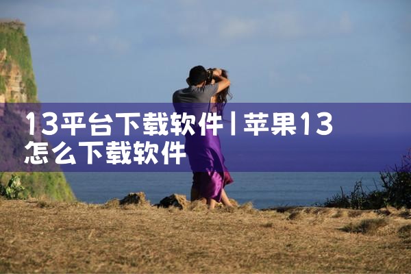 13平台下载软件