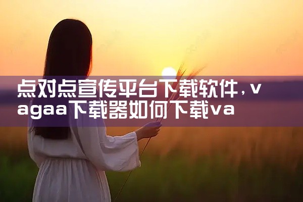点对点宣传平台下载软件
