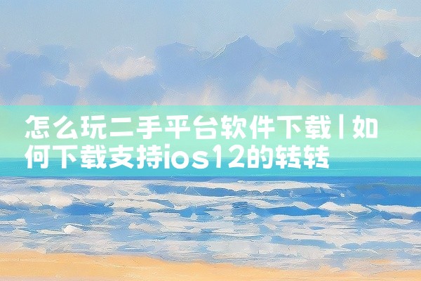 怎么玩二手平台软件下载