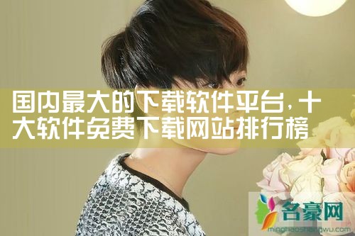 国内最大的下载软件平台